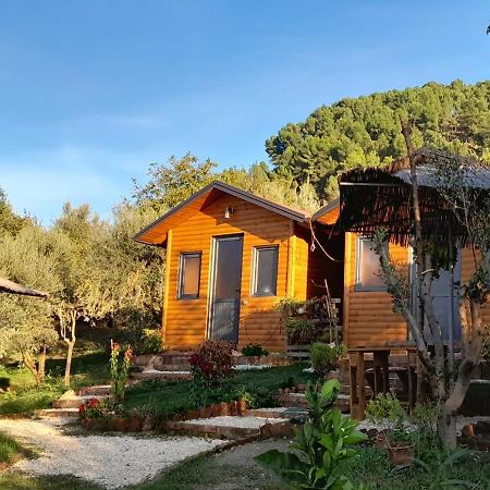 Gasthaus Bujtina Musta Berat Exterior foto