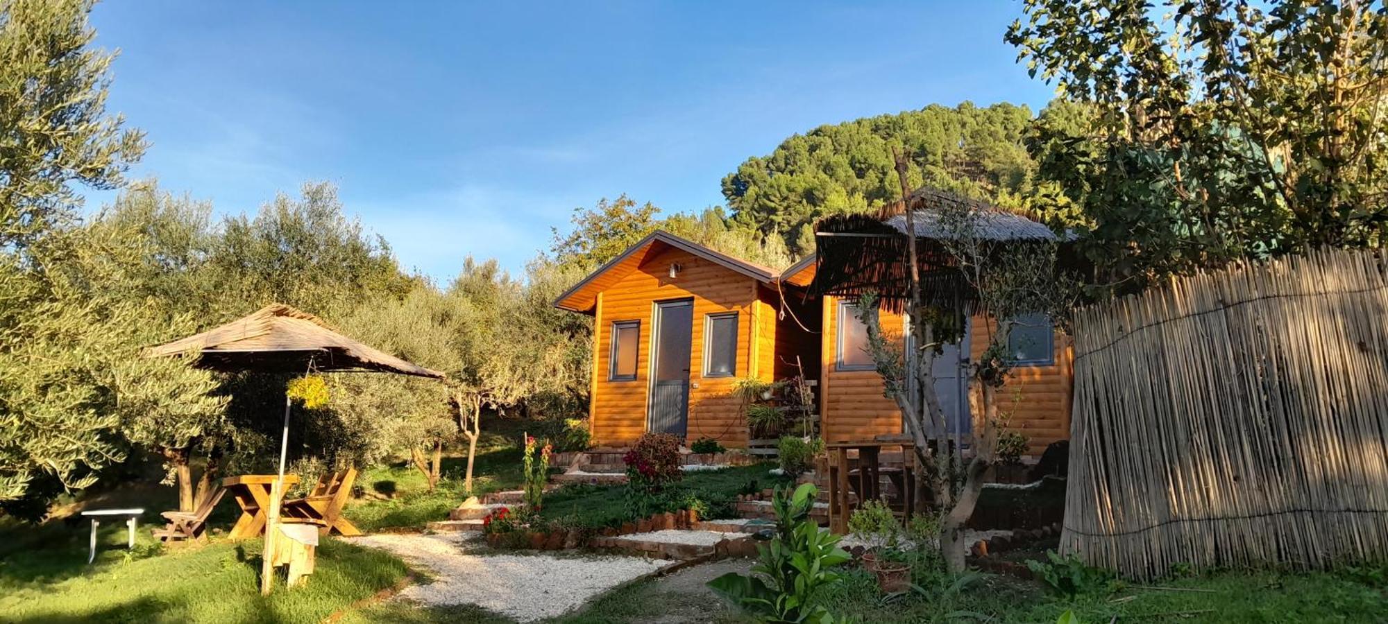 Gasthaus Bujtina Musta Berat Exterior foto