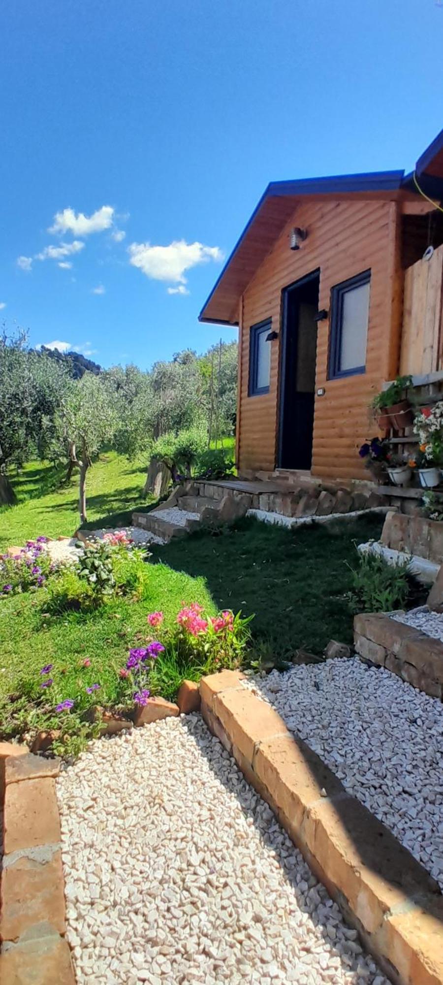 Gasthaus Bujtina Musta Berat Exterior foto